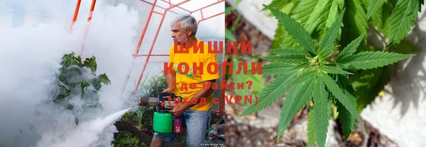 крисы Михайловка